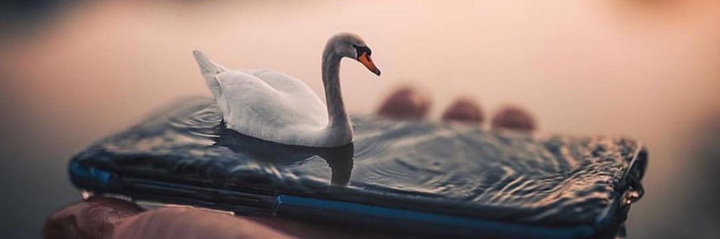 nasreen_430's profile banner image