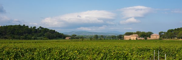 WellensRog Profile Banner