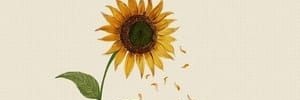Eneri_3113's profile banner image