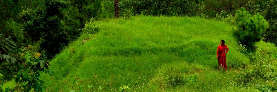pallav1a's profile banner image