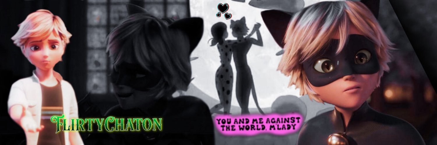 Chat Noir banner