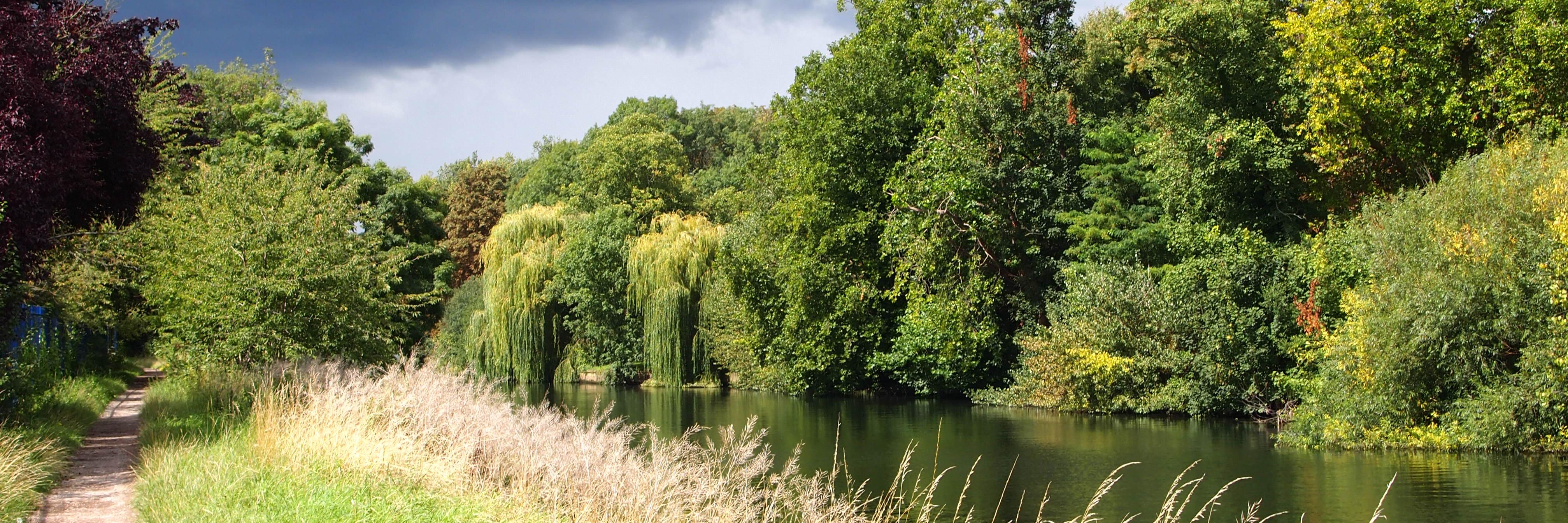 A liberal at heart 🔶 💙🇺🇦 banner