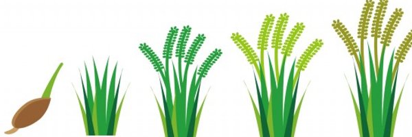 Inajun2434 Profile Banner