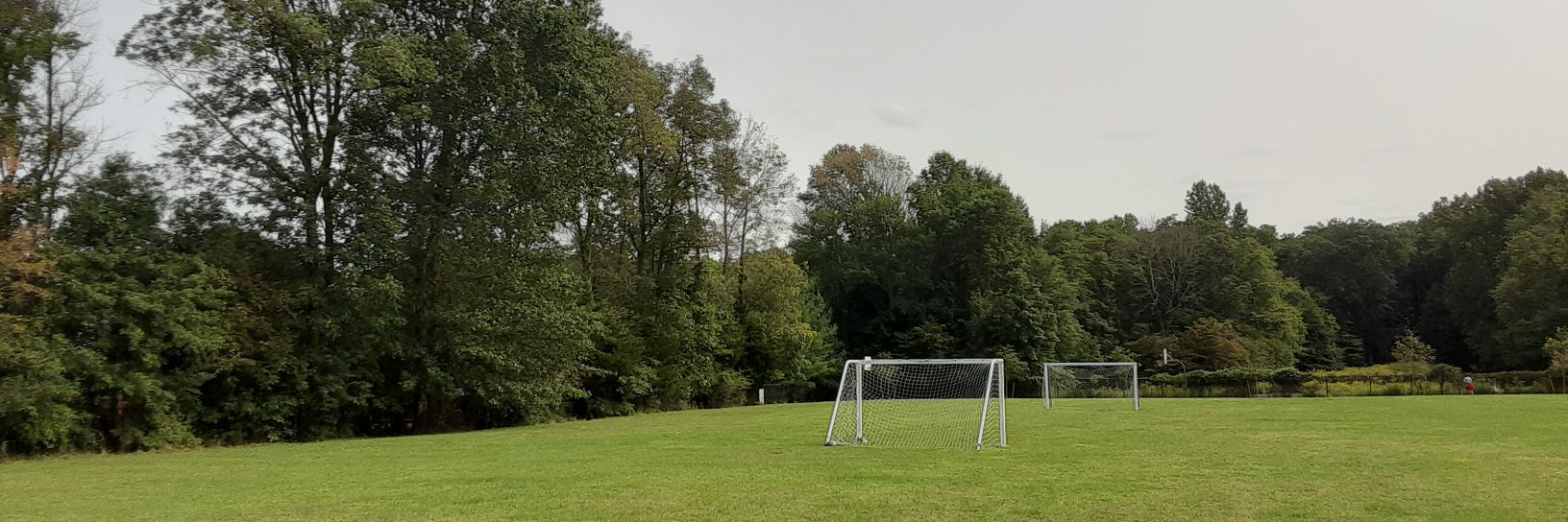 Telstar banner