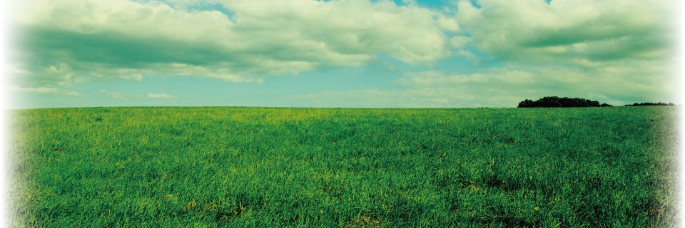 劇団どくんご banner