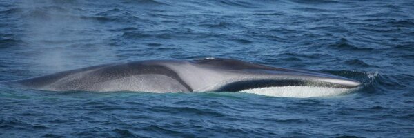 ames712 Profile Banner