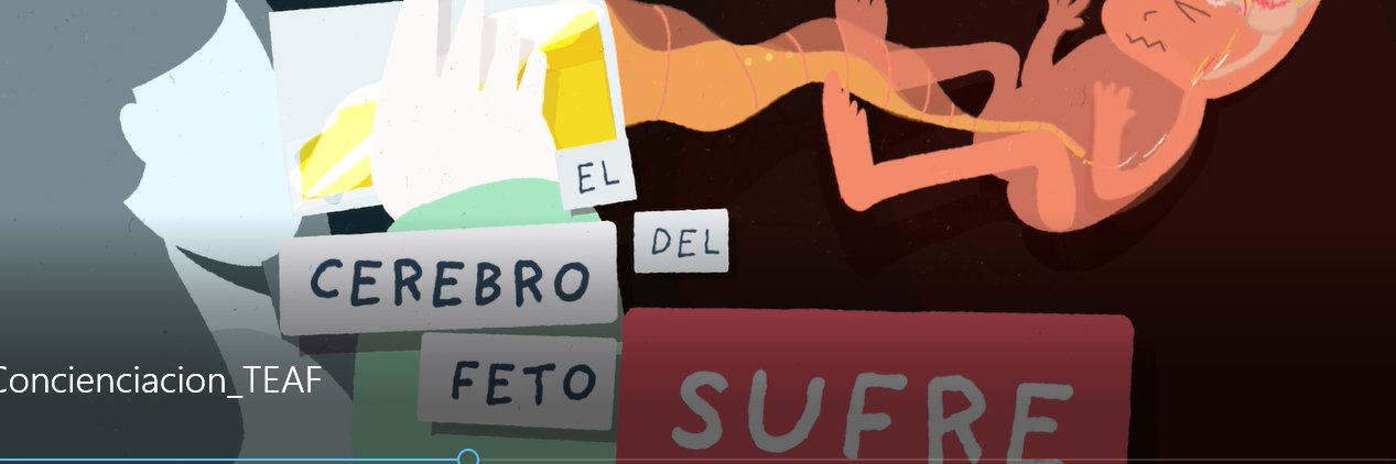 Fundación VISUAL TEAF banner