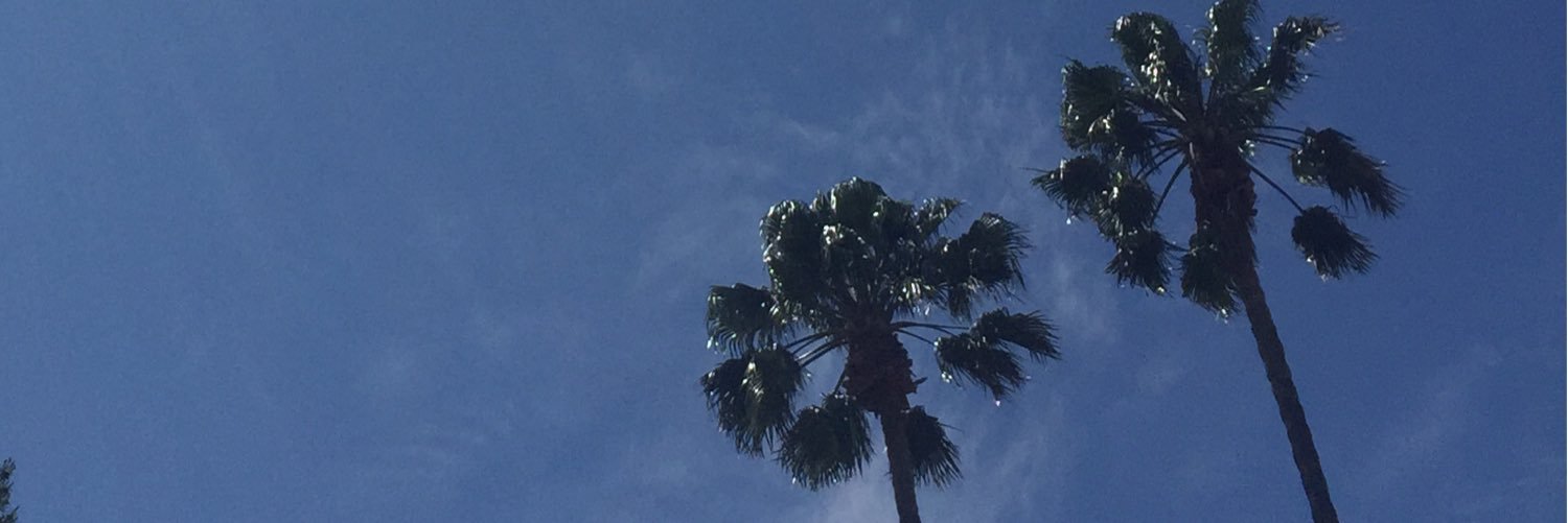 markalix's profile banner image