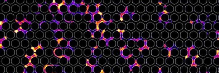 vargas_lab's profile banner image