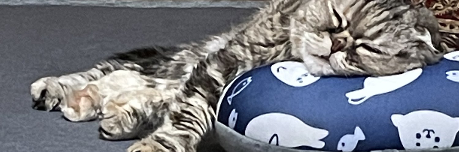 mooooosage's profile banner image