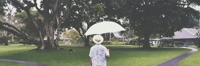 vidiesPWT's profile banner image