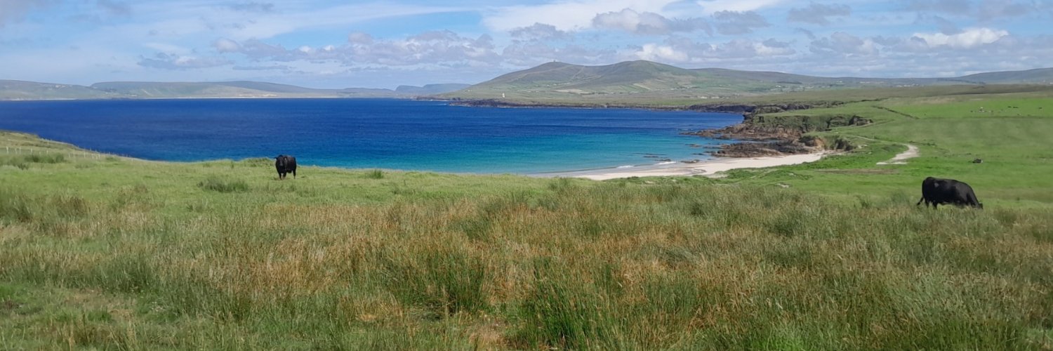 Alan Lonergan banner