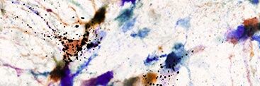 moag93's profile banner image