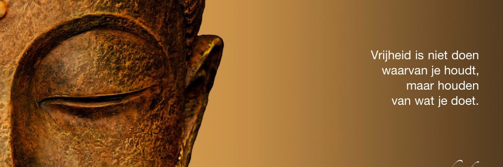 WillemsSteve's profile banner image
