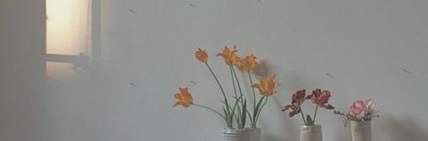 Antonietab's profile banner image