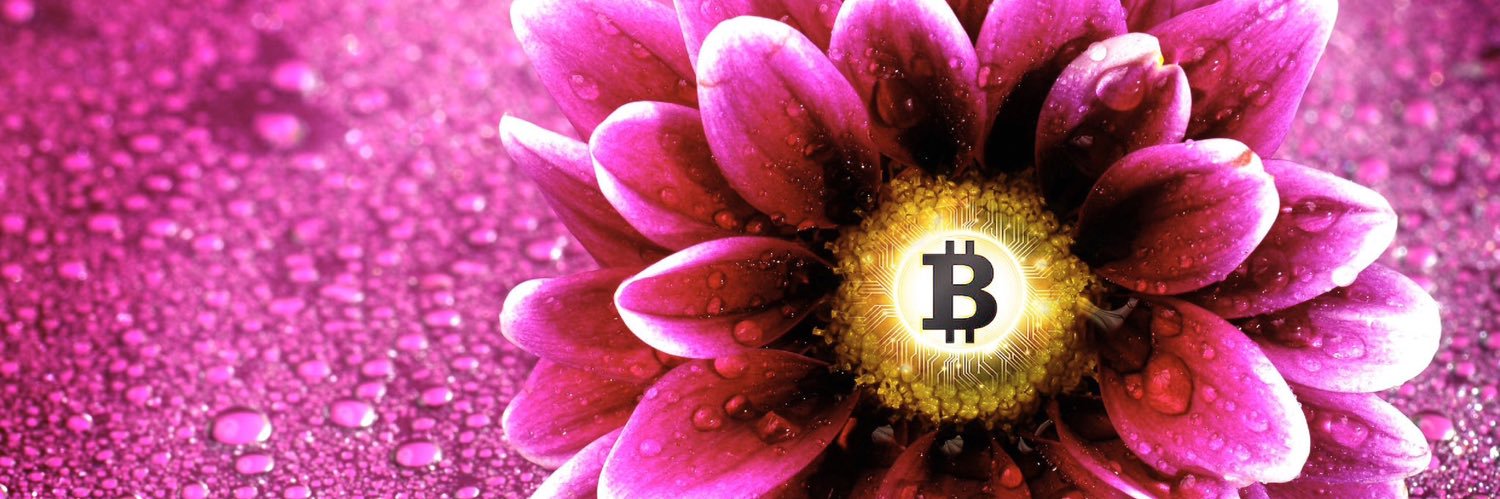 CryptoAra💋 banner