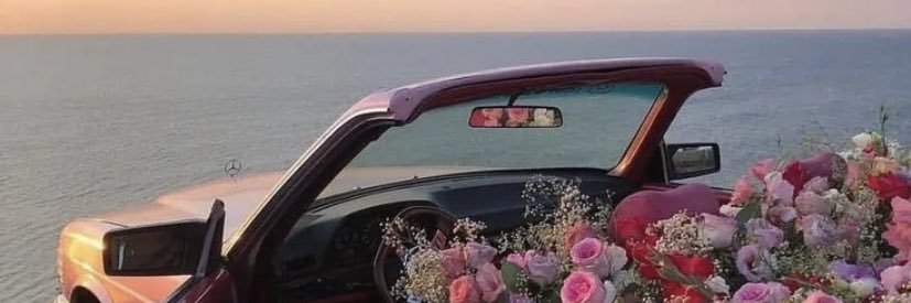 birdileginiz's profile banner image