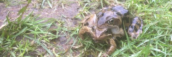 BBC_ARG_ Profile Banner