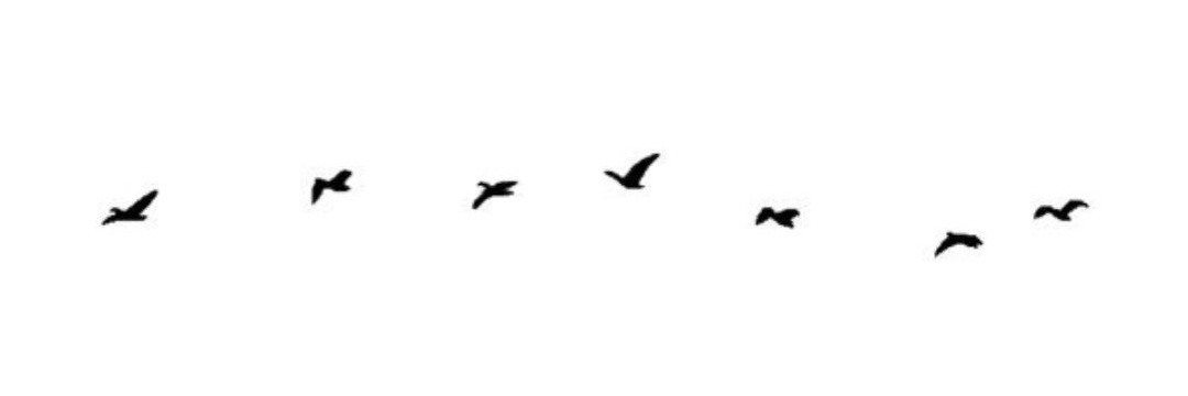 lalgonul_'s profile banner image