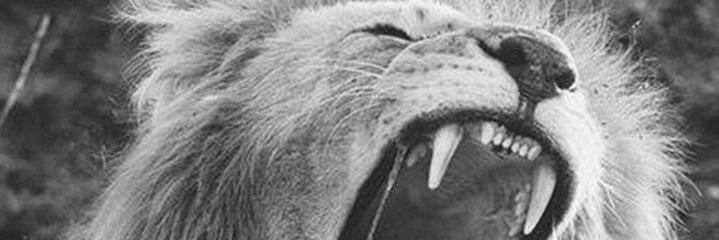 jayfrantastic's profile banner image