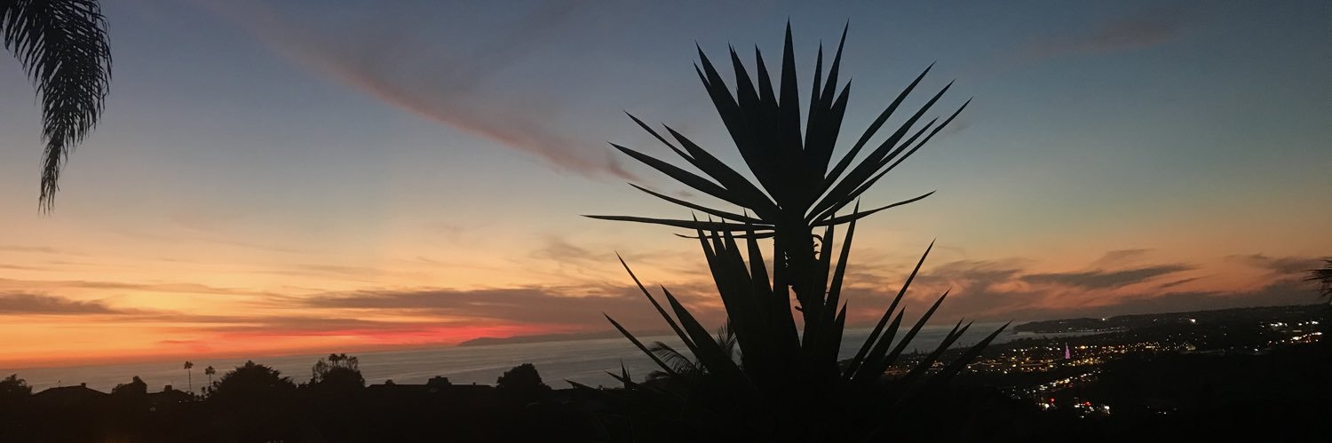 Decinator 🇺🇸🇰🇷 banner