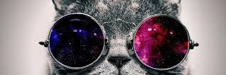 sandifragoss's profile banner image