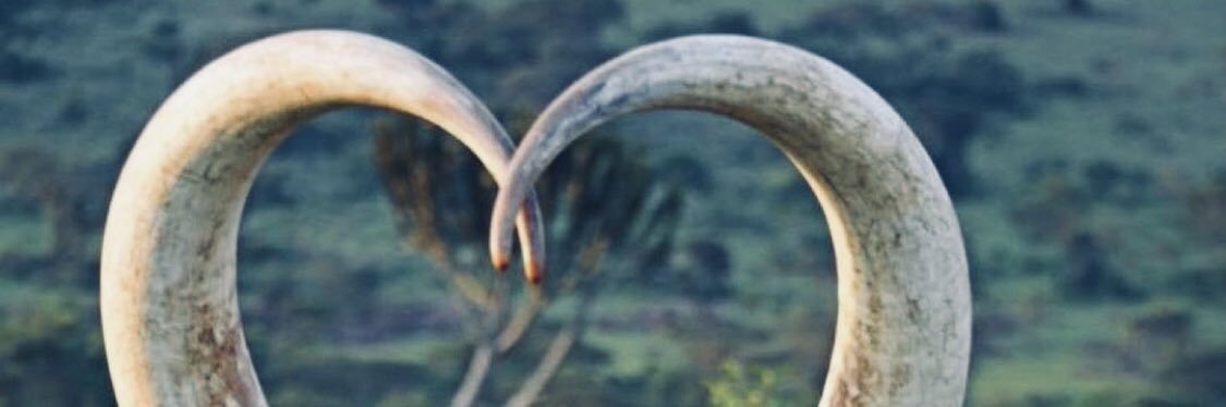 BuryoInnocent's profile banner image