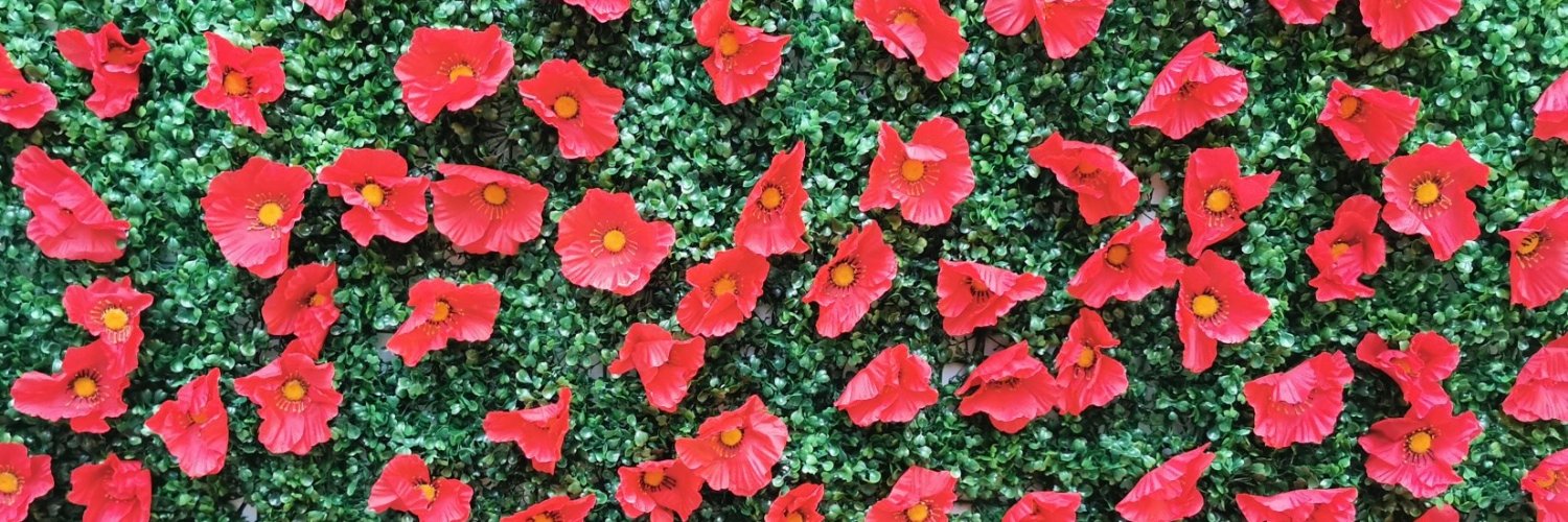 yellabrick's profile banner image