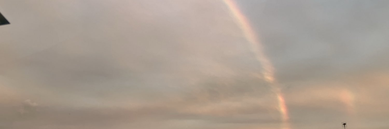 kiku0308's profile banner image