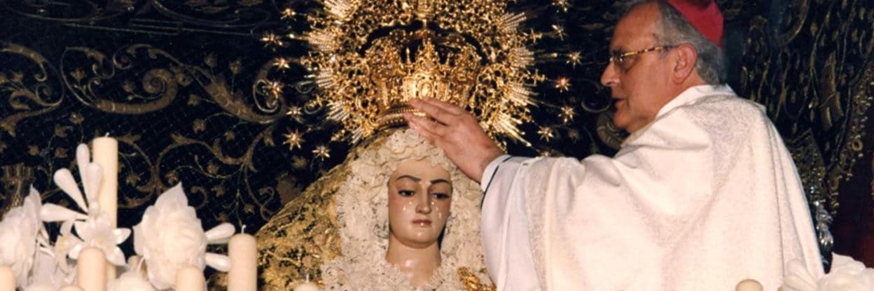 Estronao🇻🇦 banner