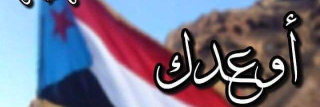 almoharamy50's profile banner image