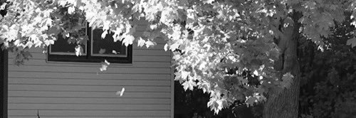 m_5l5's profile banner image
