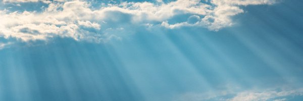 lasee_frank Profile Banner