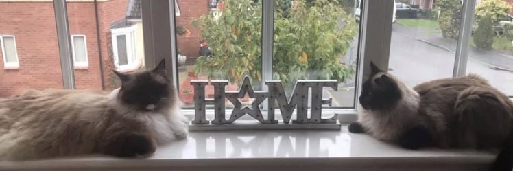 LisaDidsbury's profile banner image