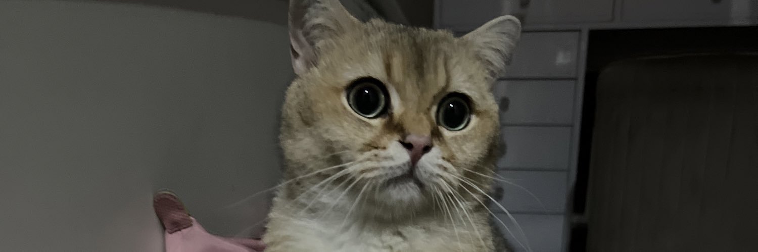 blu3berrymuffff's profile banner image