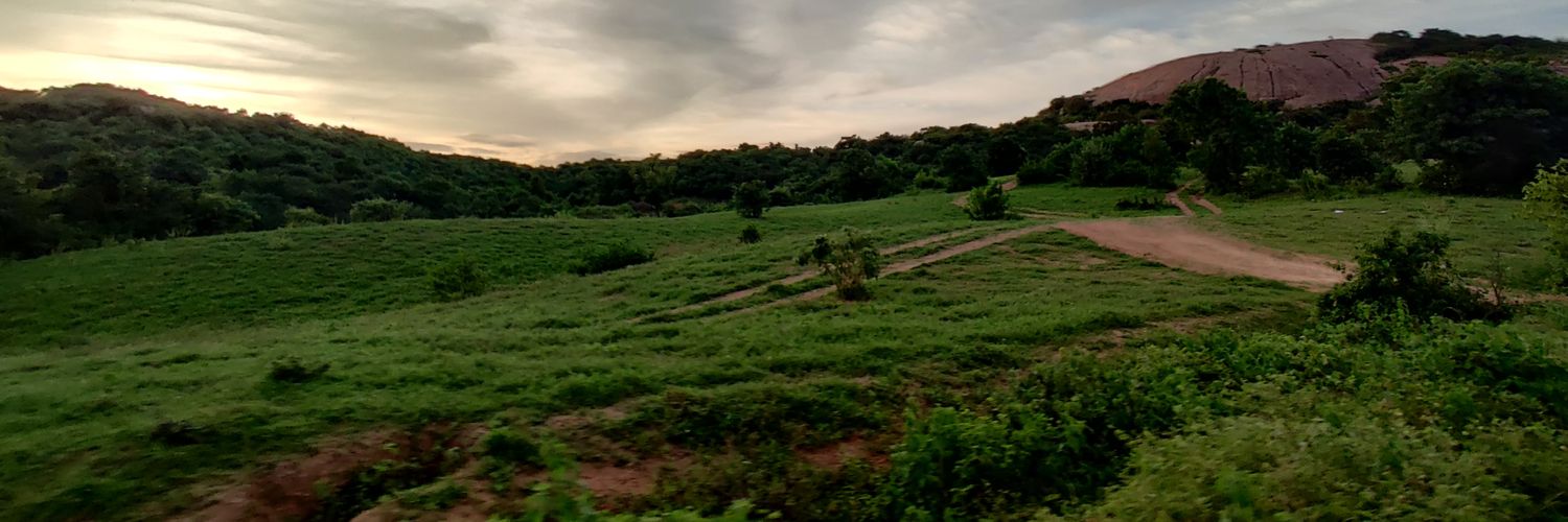 krishna017's profile banner image