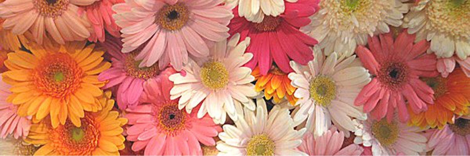 miz88_a's profile banner image