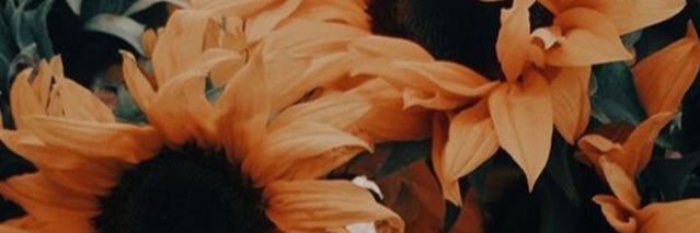 crl_vm's profile banner image