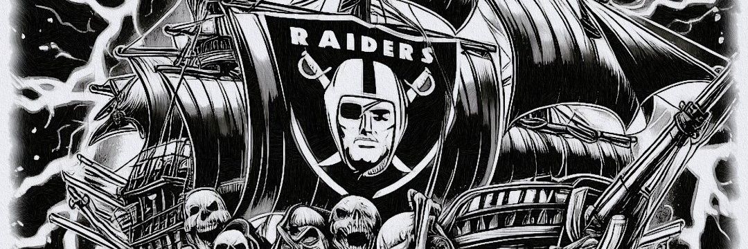 raidersforlife banner