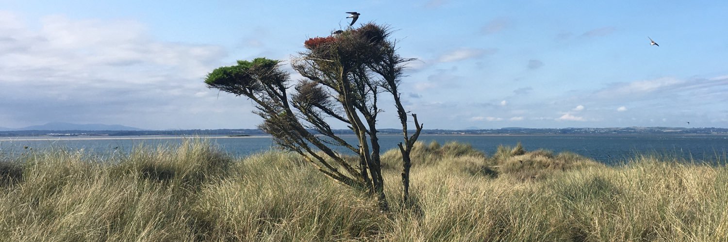 RoryMullins's profile banner image