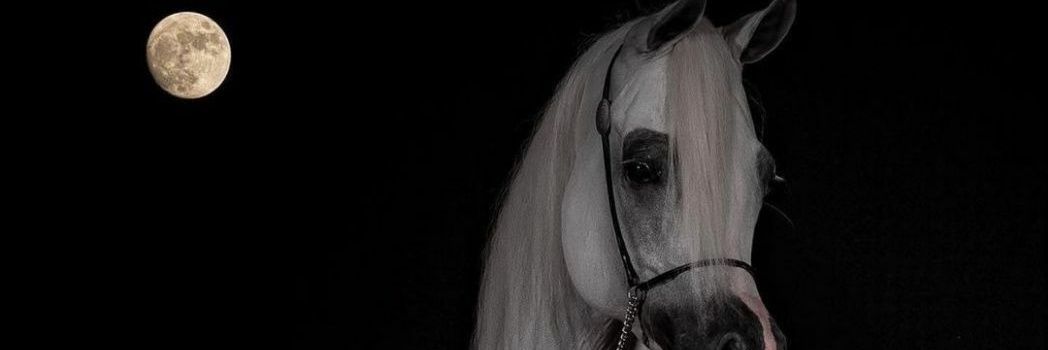 10_ahsas's profile banner image