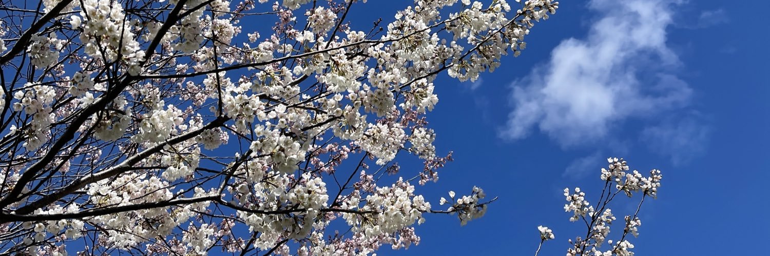 sam_rosenbaum's profile banner image