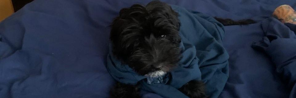 caiozrez's profile banner image