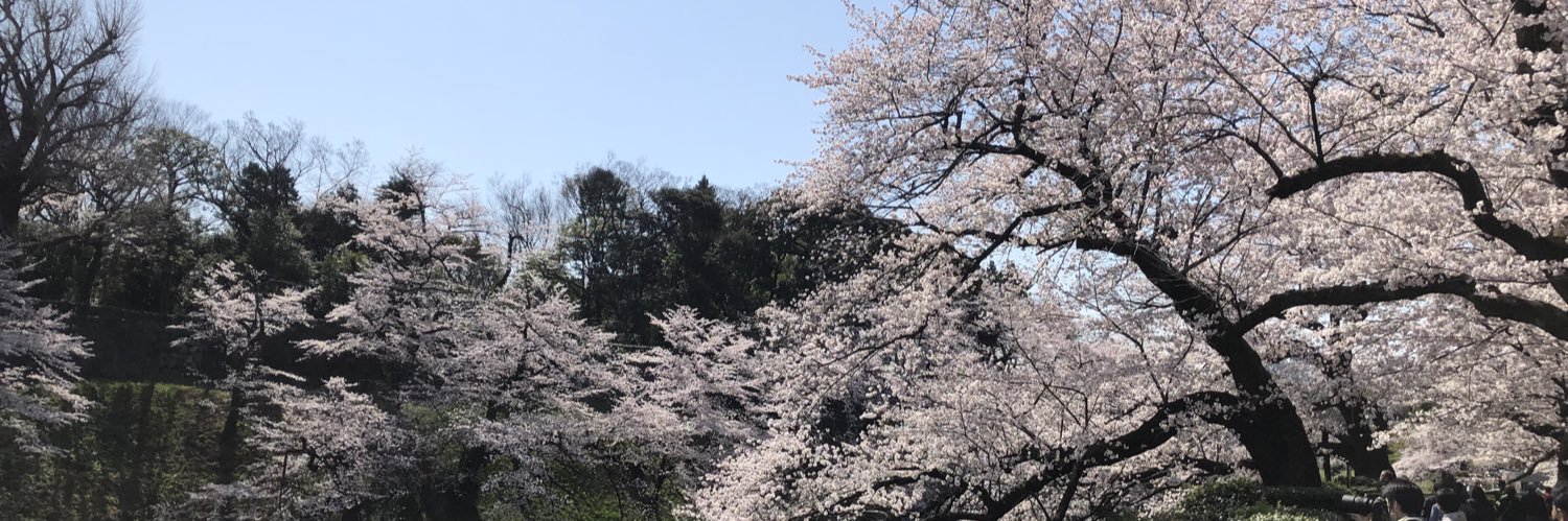 keikot65's profile banner image