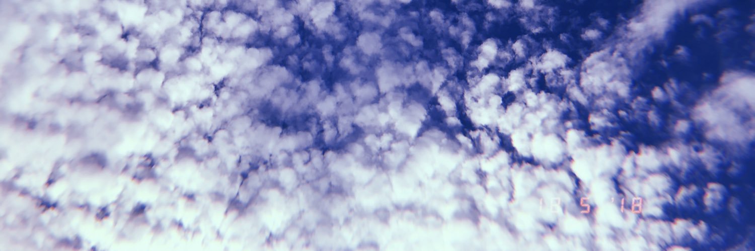 stefigianna's profile banner image
