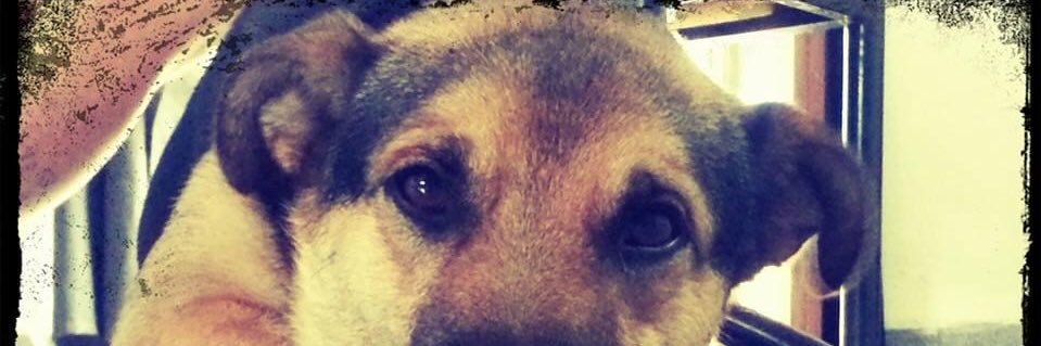 EzekielV77's profile banner image