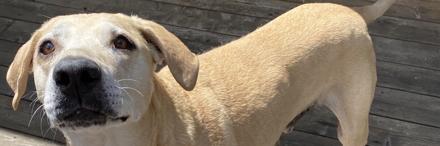 mmerranduh's profile banner image
