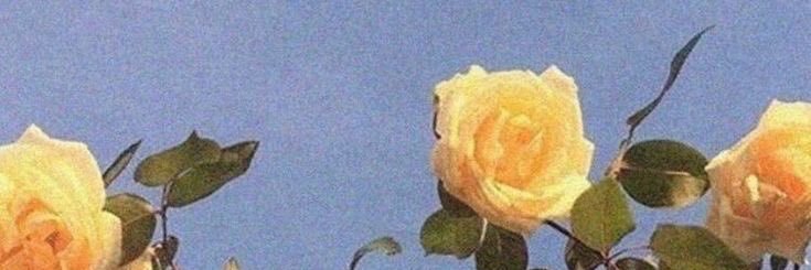 justsung🐣 banner