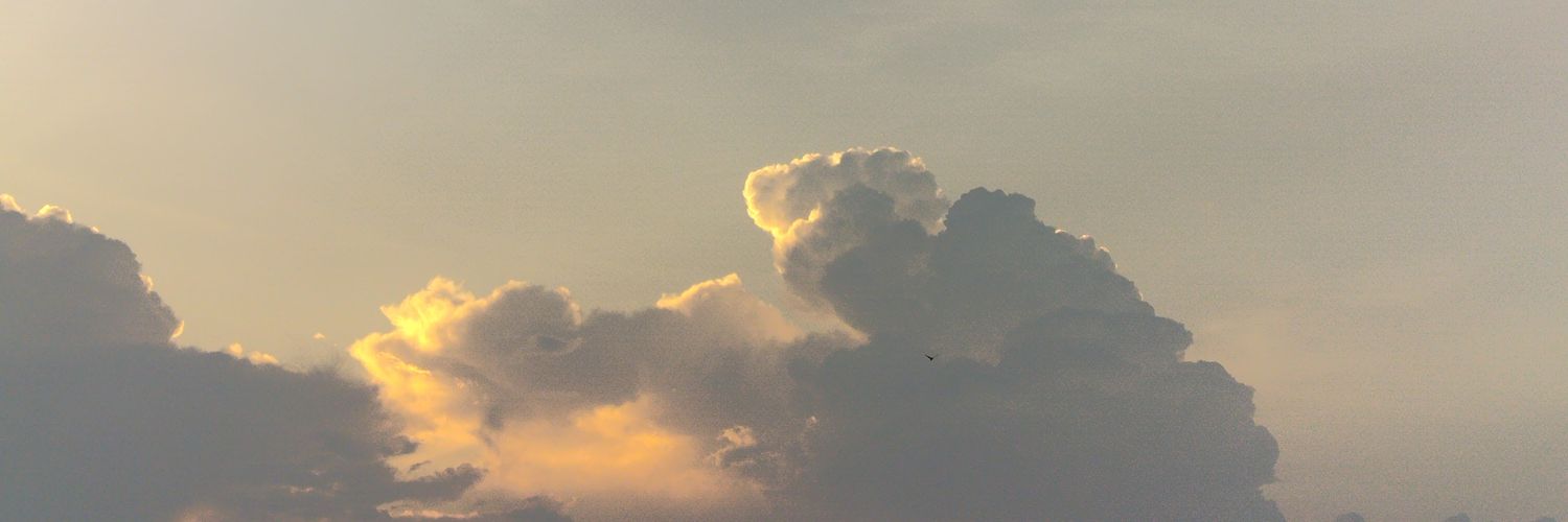 Awesomesauces14's profile banner image