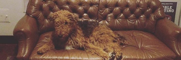 Juan Pablo Isaza banner